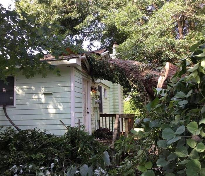 Tree on house after a residential storm