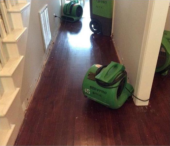 green equipment drying hardwood floors